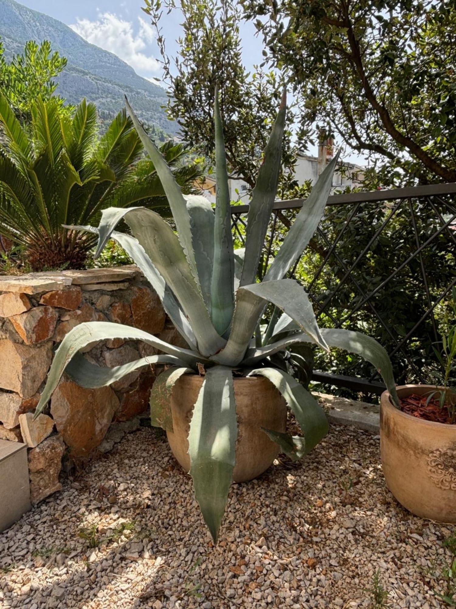 Villa Oleana Makarska Eksteriør billede